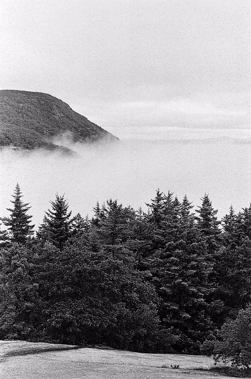 Image from Various forgetten film stocks album