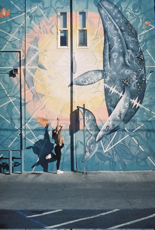 Image from Cinestill 800T album